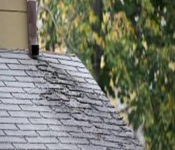 A section of a roof of a home showing damaged and lifted shingles.
