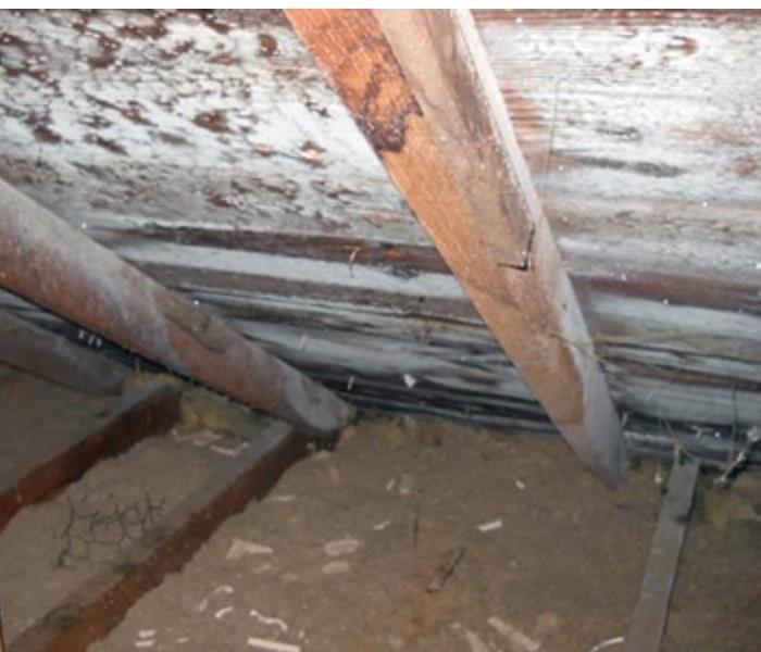 Mold growth in wood rafters of attic