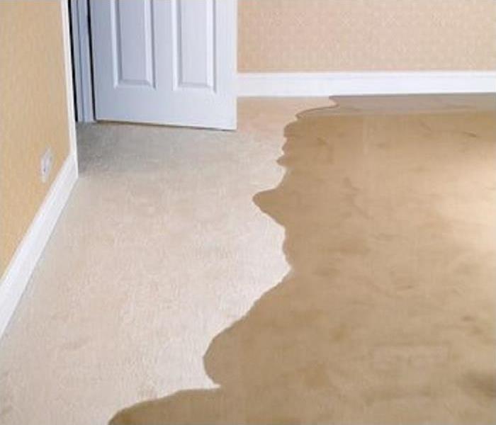 A large puddle of water on the carpet inside a home